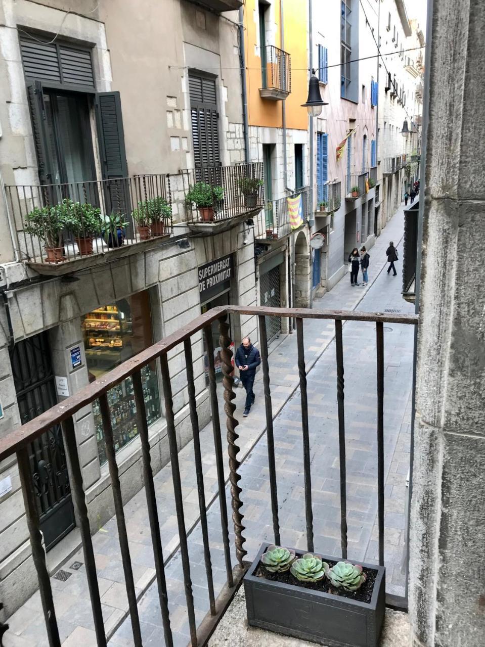 Apg Palau Salieti 1 Daire Girona Dış mekan fotoğraf